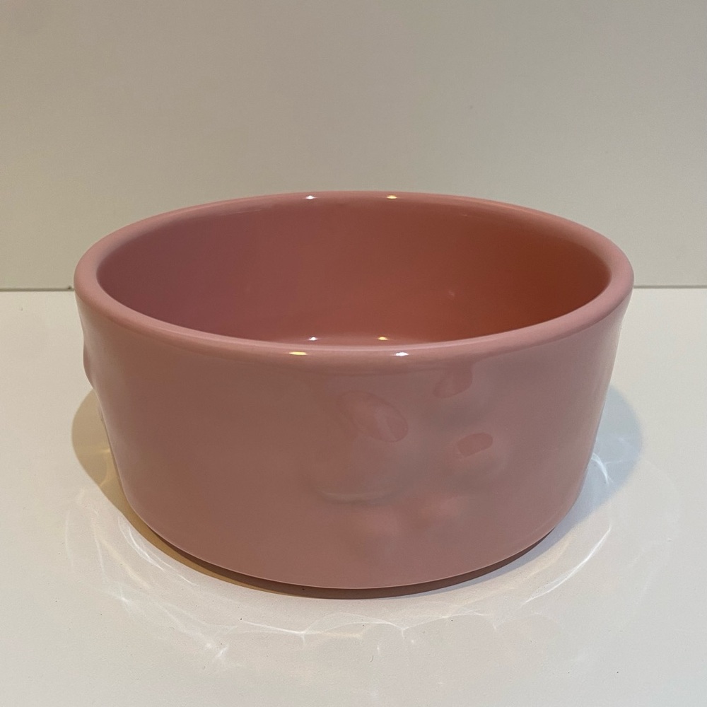 Pet Ceramic Feeding Bowl